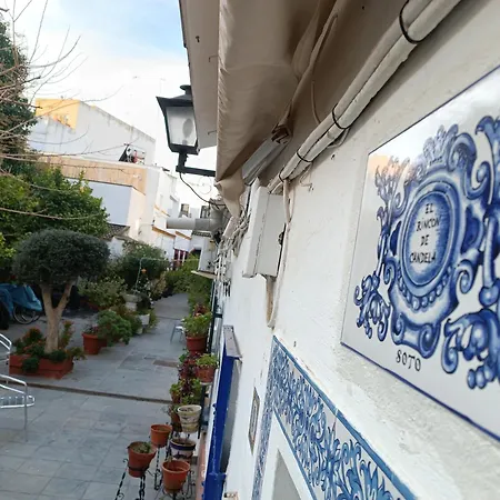 Tipico Y Pintoresco Patio De Vecinos, Con Encanto Sevilla Exterior photo