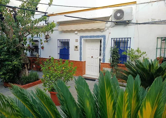 Tipico Y Pintoresco Patio De Vecinos, Con Encanto