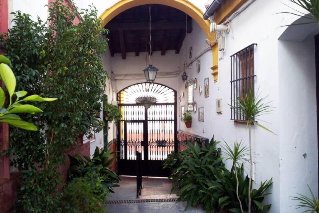 Tipico Y Pintoresco Patio De Vecinos, Con Encanto Apartament