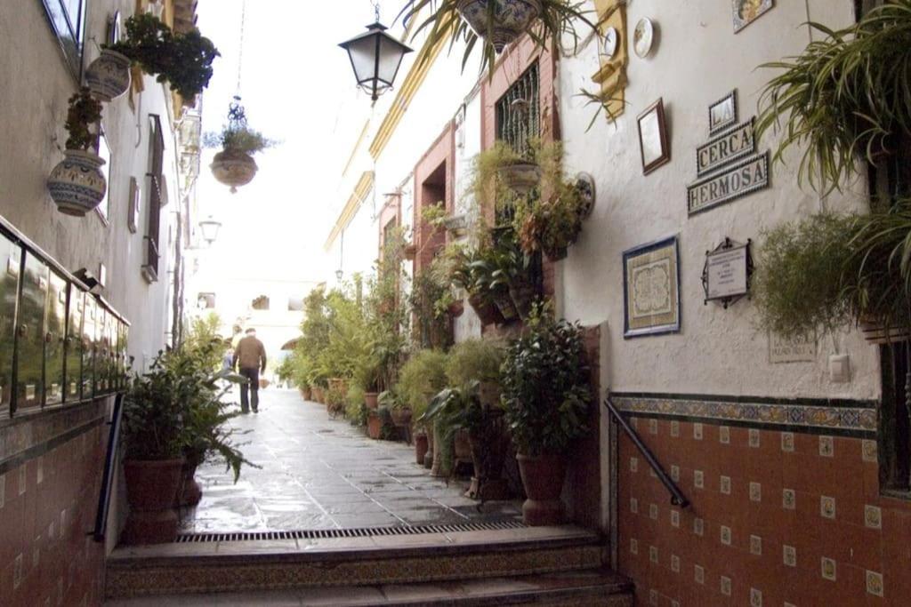 Apartament Tipico Y Pintoresco Patio De Vecinos, Con Encanto Sevilla