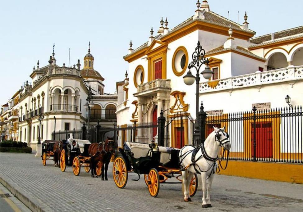 Apartament Tipico Y Pintoresco Patio De Vecinos, Con Encanto Sevilla