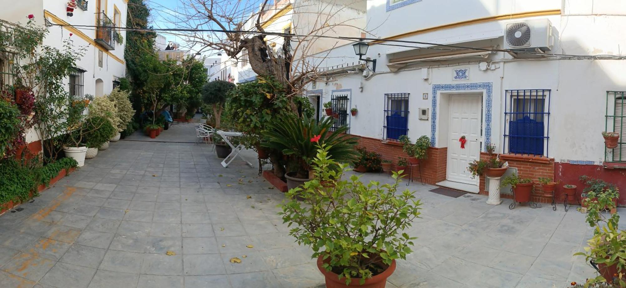 Apartament Tipico Y Pintoresco Patio De Vecinos, Con Encanto