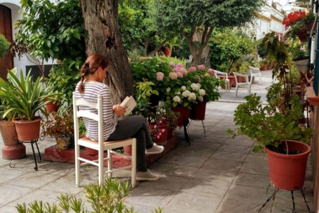 Tipico Y Pintoresco Patio De Vecinos, Con Encanto Apartment Sevilla